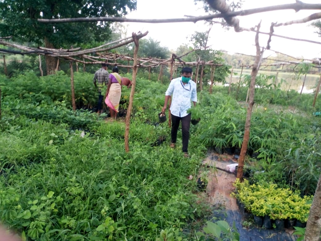 a group of people working in a garden