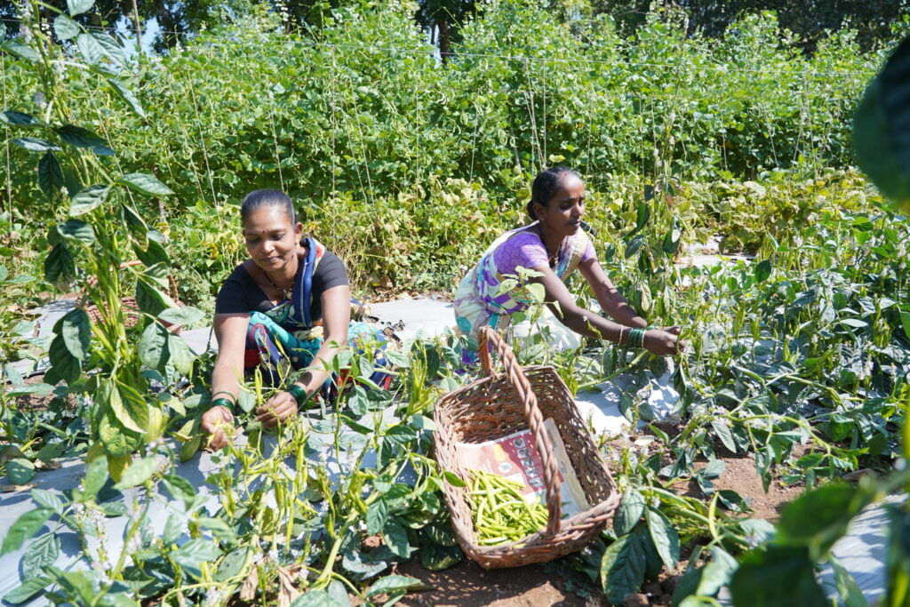 Economic-Independence-for-Women